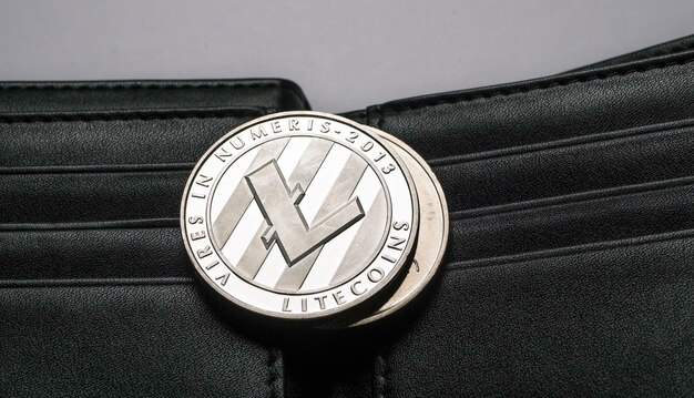 Макросъемка криптовалюты Litecoin