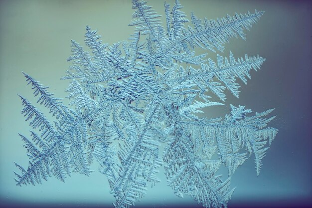 写真 氷の結晶のマクロショット