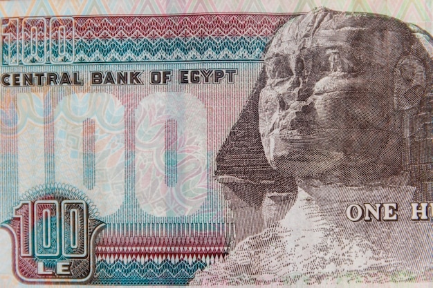 Macro shot of one hundred egyptian pounds bill