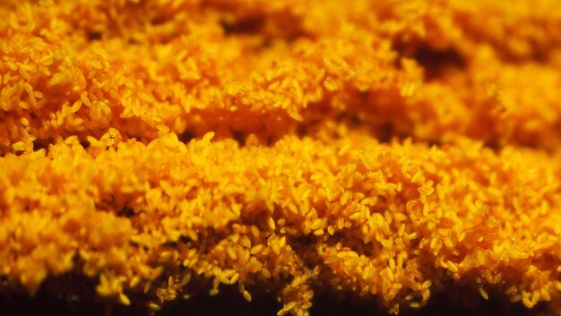 Macro shot of orange pollen