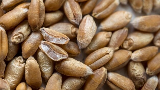 Macro shot of a pile of wheat Detailed closeup on wheaten grains