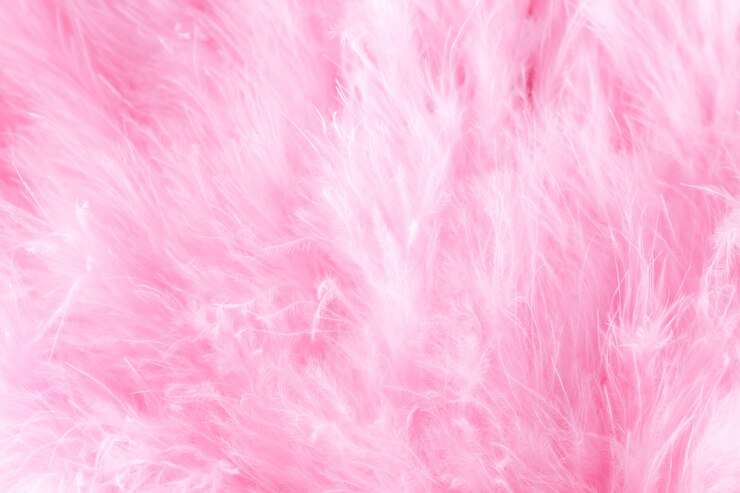 Photo macro shot of pink bird fluffy feathers in soft and blur style