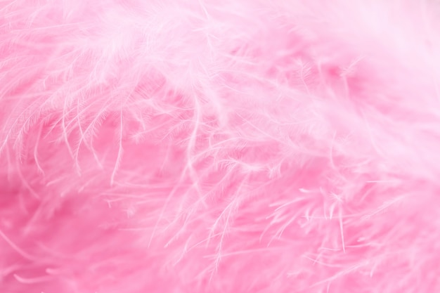 Macro shot of pink bird fluffy feathers in soft and blur style