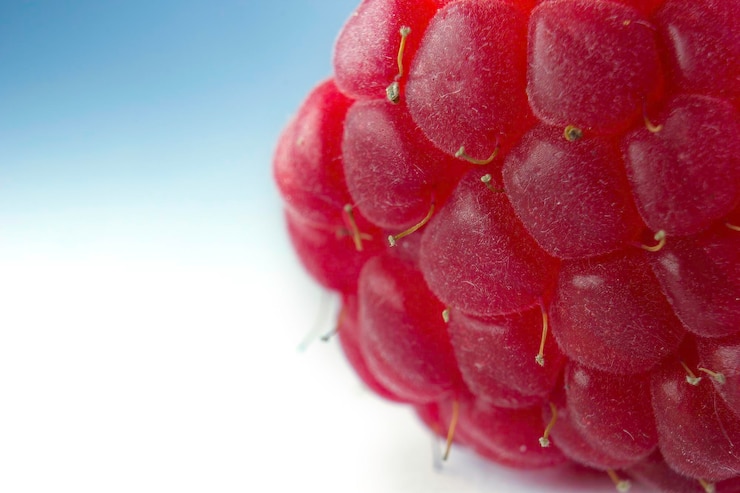 Photo macro shot of a raspberry on the white background selective focus of a berry fruit  close up