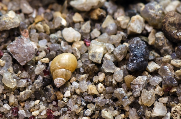 Macro shot of sand at the beach.