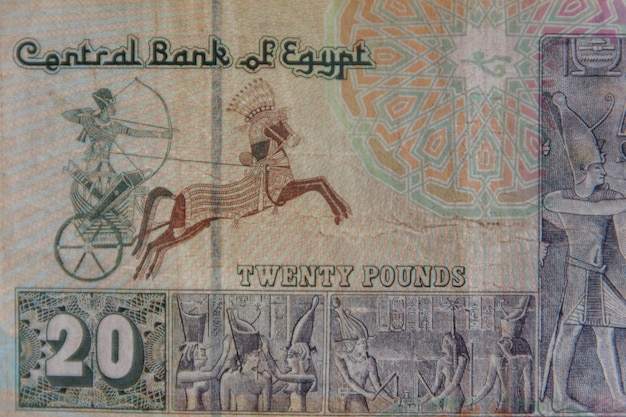 Macro shot of twenty egyptian pounds bill