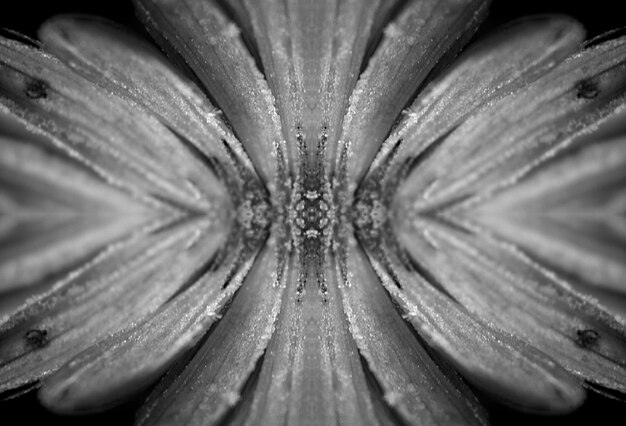 Macro shot van witte bloem