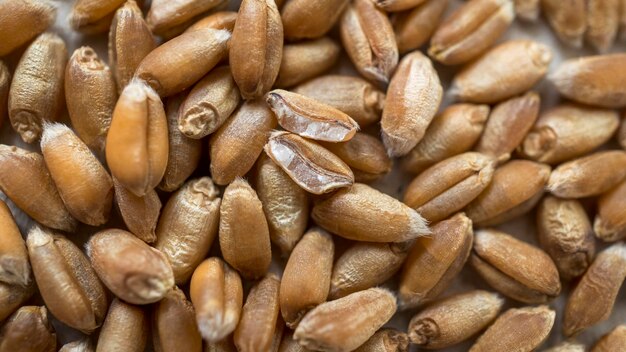 Photo macro shot of wheat grains as background