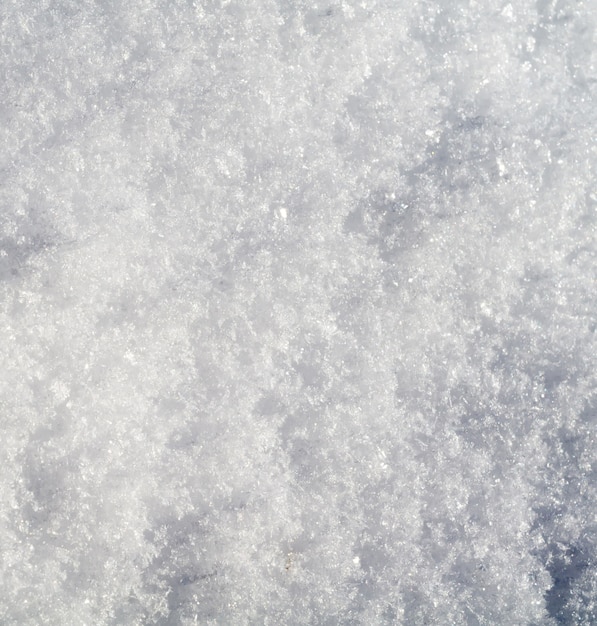 Macro of Snow