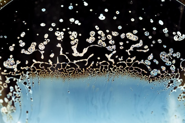 Foto macro di bolle di sapone fatte con sapone per piatti su bolle di detergente su sfondo nero