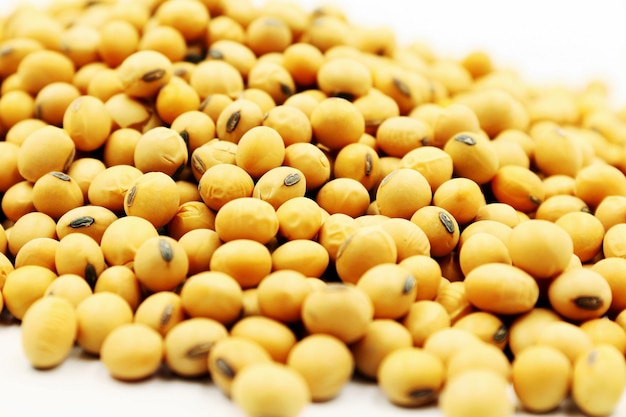 Photo macro soybean