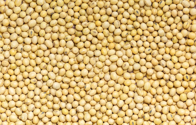 Macro soybeanSoybeans shot from above Premium grade soybeans