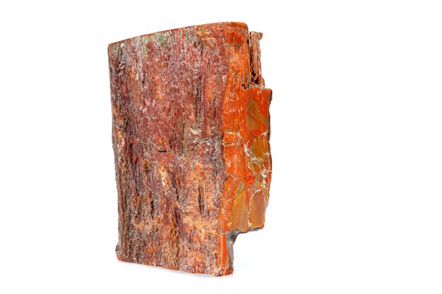 Macro stone mineral petrified wood on a white background