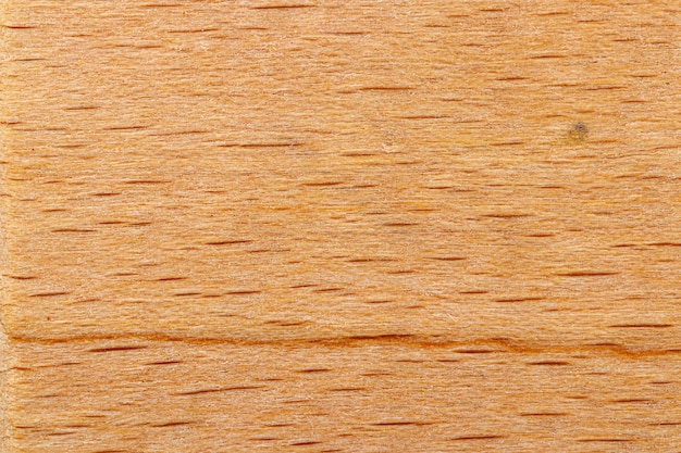 Macro texture of yellow wood