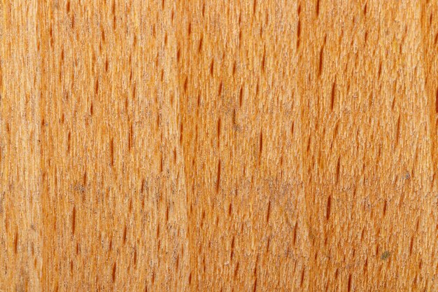 Macro texture of yellow wood