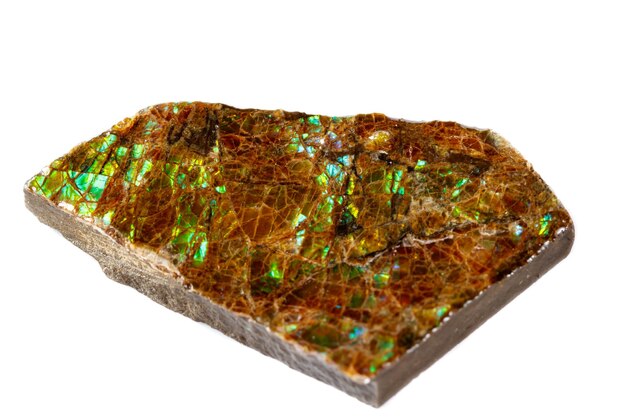 Macro van de minerale steen ammolite op witte achtergrond