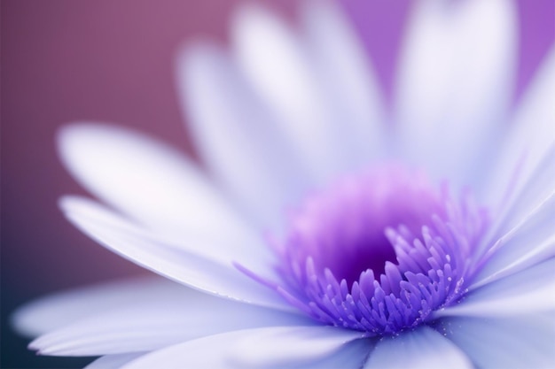 Macro van een blauwe chrysant bloem zachte focus