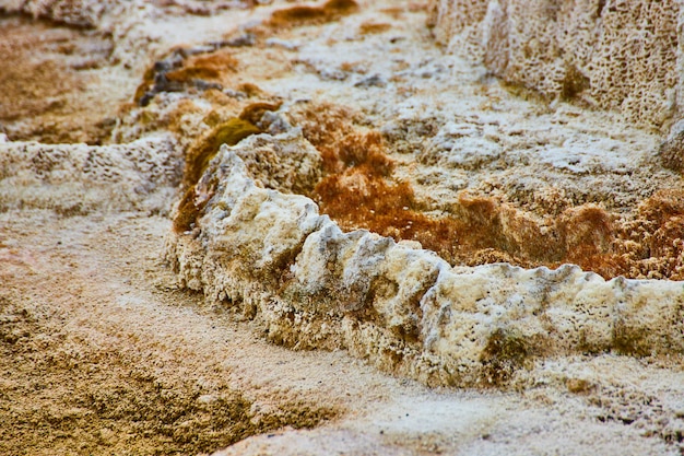 Macro van terraslagen bij de warmwaterbronnen van Yellowstone