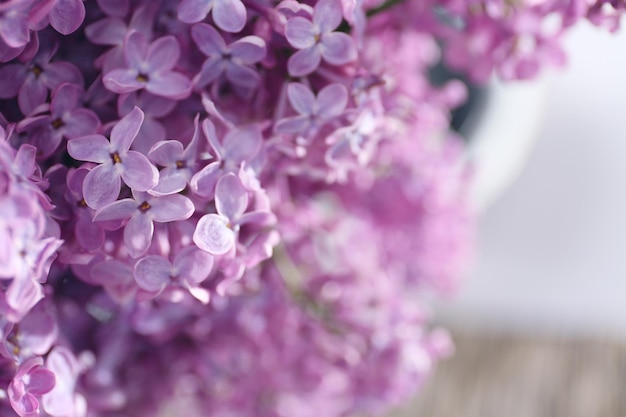 Macro view of beautiful lilac bloom