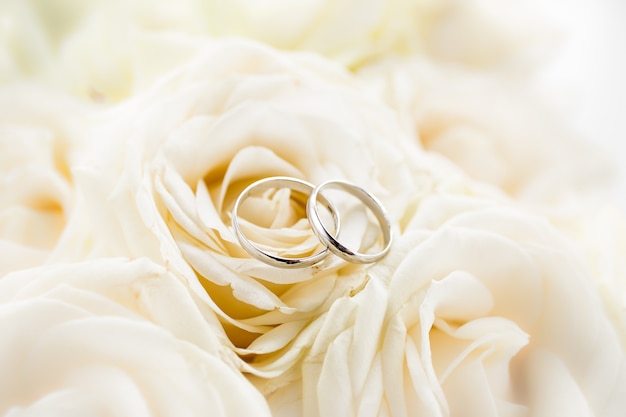 Macro view of two platinum wedding rings lying on white roses