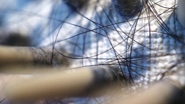 Foto macrofoto's van zwart beschadigd haar vallen geplakt op een houten borstel met stof voor vertegenwoordiger van een gevoelige droge of jeukende hoofdhuid, wat een probleem is met het lange kapsel van de schoonheid van de vrouw