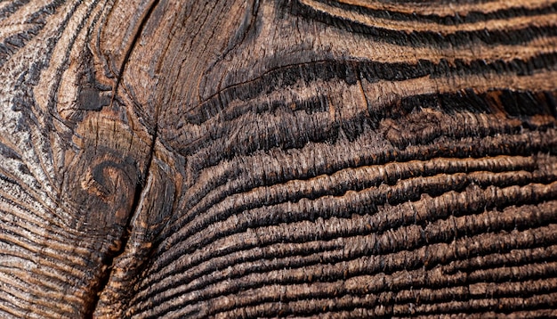 Macrofoto van de textuur van een stuk zwarte eik met een houten structuur