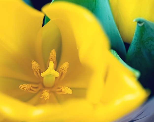 Macrofotografie van gele tulpen