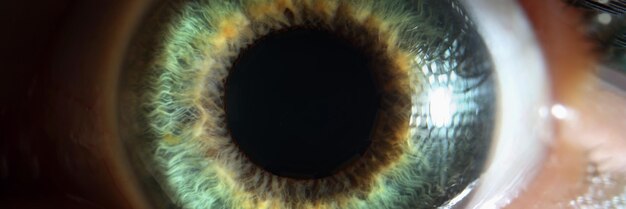 Foto macrofotografie van groen mooi helder oog van vrouwenclose-up