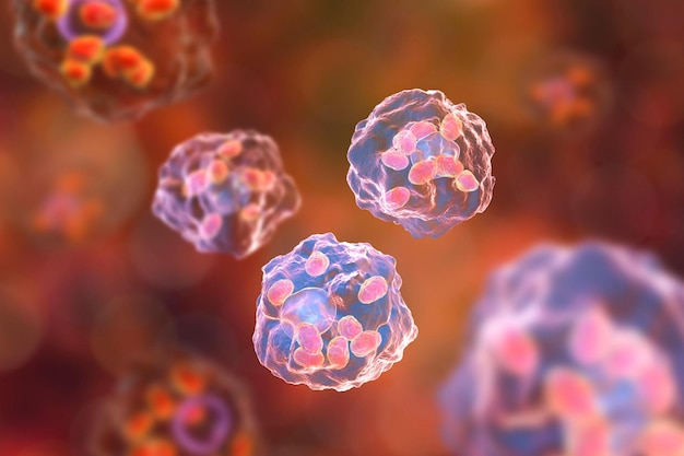 Photo macrophages infected by leishmania amastigotes 3d illustration