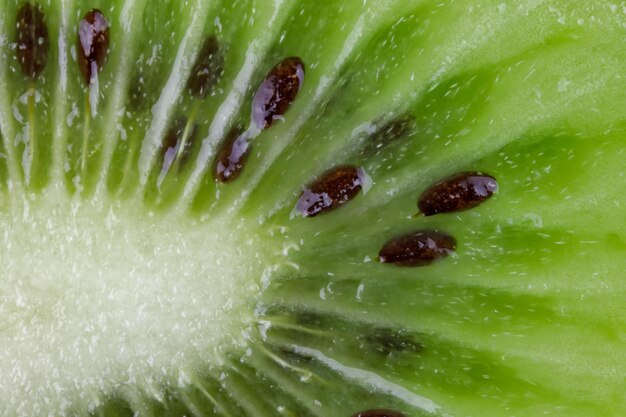 Photo macrophoto of a kiwi