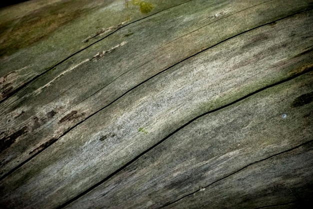 Macrophotografie Textuur van een houten plank