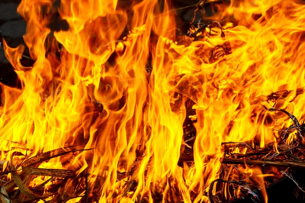 Macroschot van vuur, witte rook, hete, gloeiende steenkool en brand. Brandende takken en hout.
