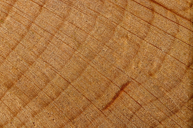 Macrotextuur van geel hout