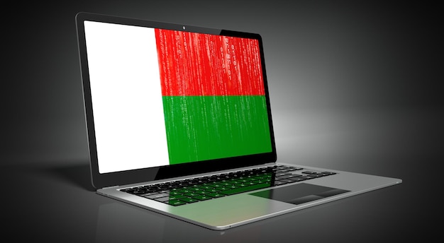 Foto bandiera del paese del madagascar e codice binario sull'illustrazione 3d dello schermo del laptop