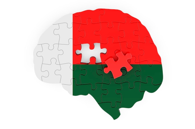 Madagaskar vlag geschilderd op de hersenen van puzzels Wetenschappelijk onderzoek en onderwijs in Madagaskar concept 3D rendering geïsoleerd op witte achtergrond