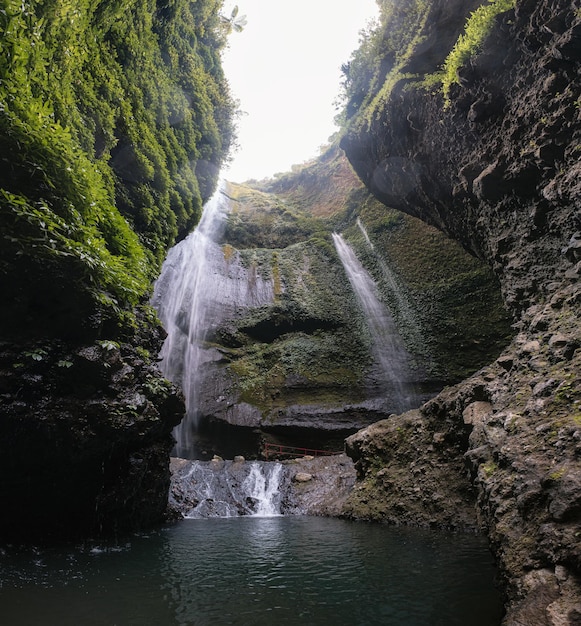 Cascata madakaripura che scorre sulla valle rocciosa con piante nel parco nazionale