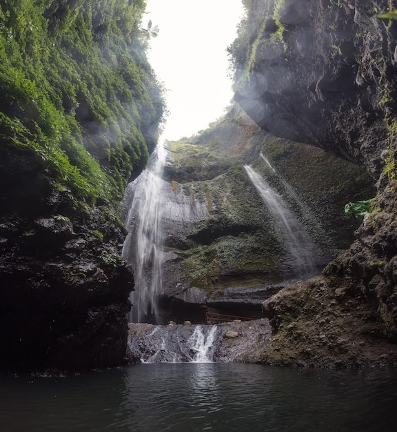 Madakaripura-waterval die op rotsvallei stroomt met installaties in nationaal park