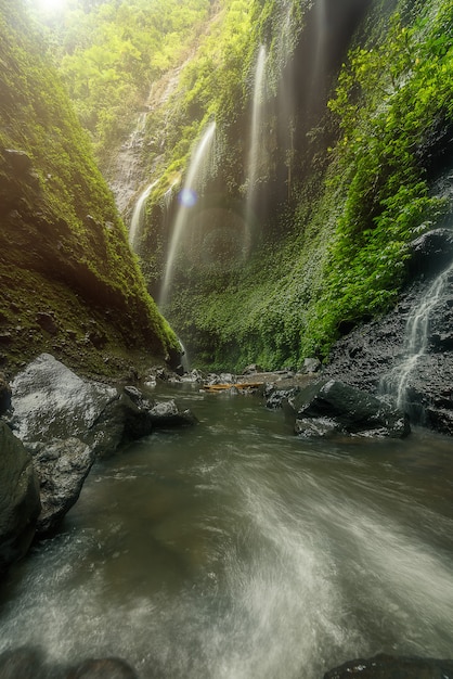 Madakaripura waterval, reizen Indonesië Azië