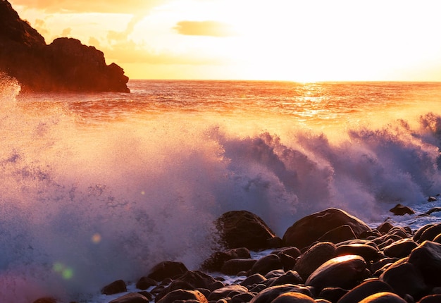 Madeira coast