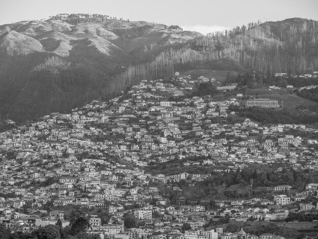 Photo madeira island