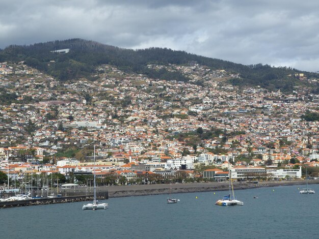 Photo madeira island