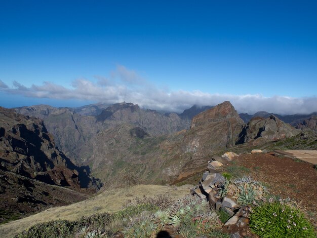 Photo madeira island