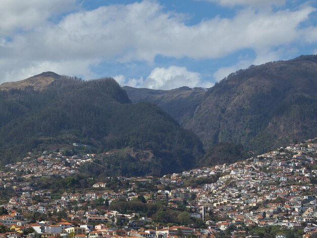 Photo madeira island