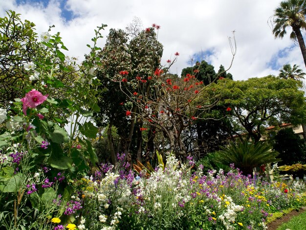 Madeira island