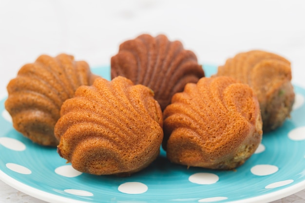 Madeleine cakes with a distinctive shell-like shape on white background for bakery, food and eating concept