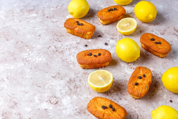 Madeleine - homemade traditional French small cookies with lemon and chocolate chips.