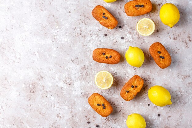 Madeleine - homemade traditional French small cookies with lemon and chocolate chips.