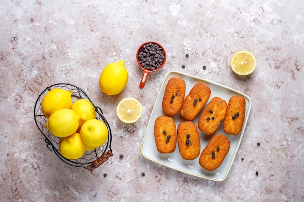 Madeleine - zelfgemaakte traditionele Franse kleine koekjes met citroen en chocoladeschilfers.