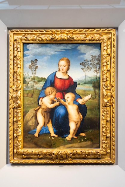 마돈나와 어린 성 세례 요한과 함께 있는 어린이는 또한 Raffaello Sanzio Raphael 르네상스 그림 걸작에 의해 Goldfinch 1506의 마돈나로 명명되었습니다.