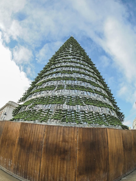 Madrid big christmas tree in sol door place